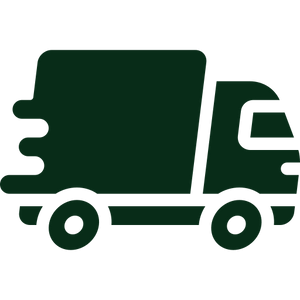 Express Delivery